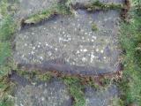 image of grave number 947423